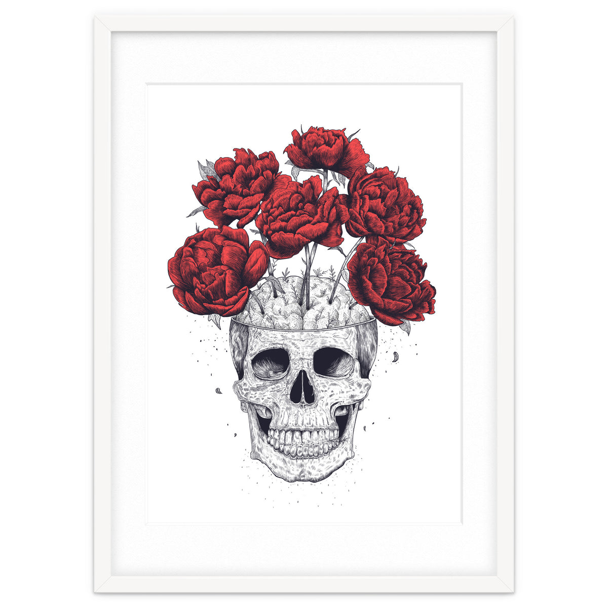 Skull With Peonies