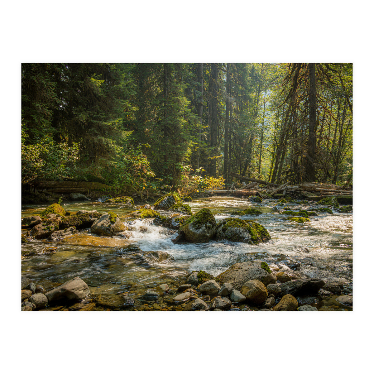 Cascade River (Print Only)