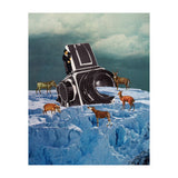 Cameraman (Print Only) thumbnail