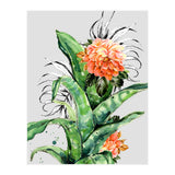 Collage of florid nature  (Print Only) thumbnail