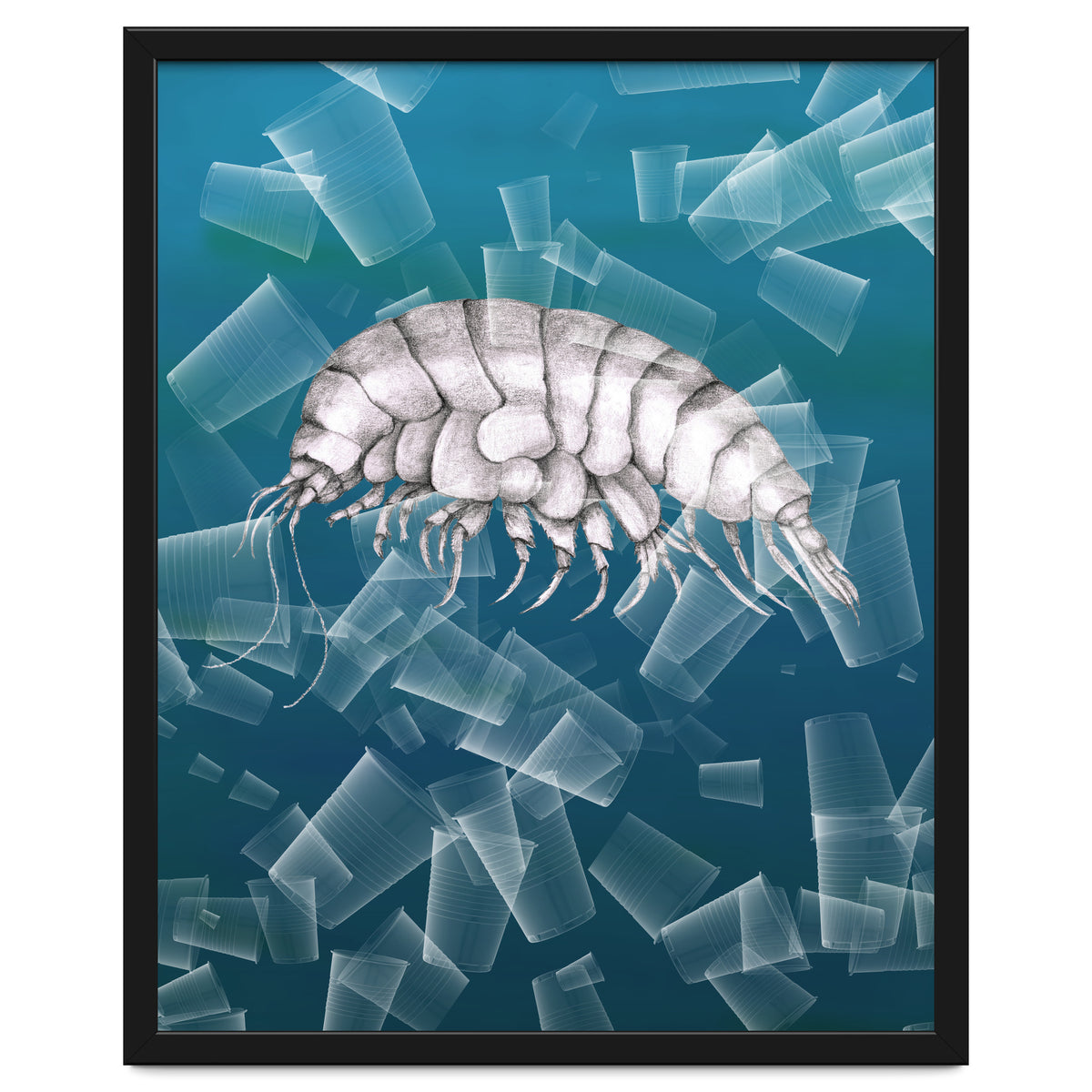 Eurythenes Plasticus