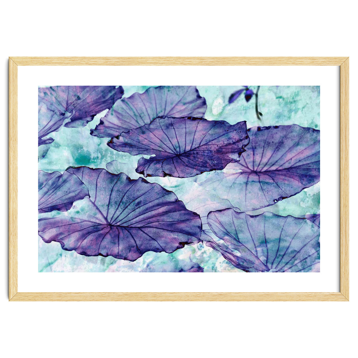 Botanical Surrealism