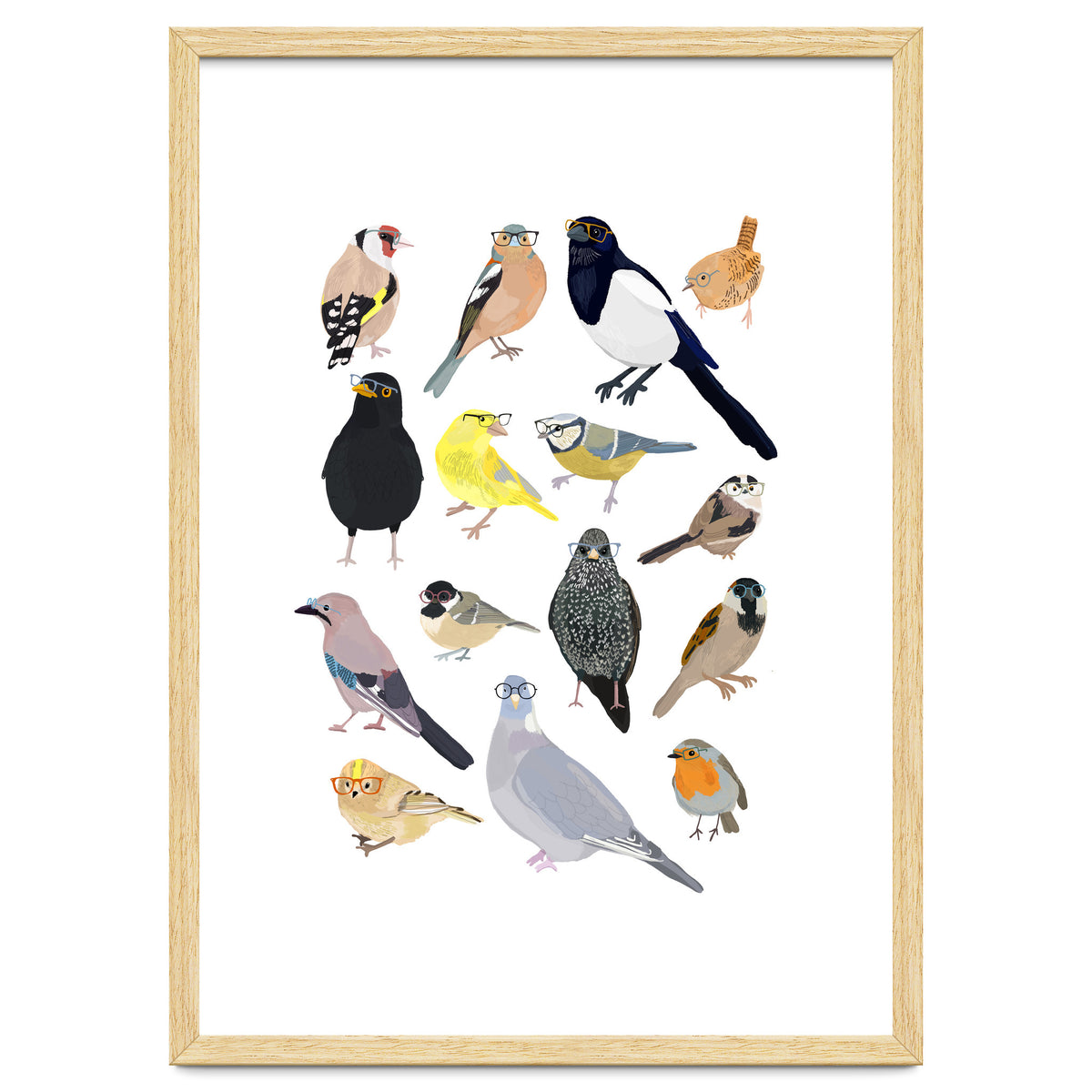 UK Birds in Glasses