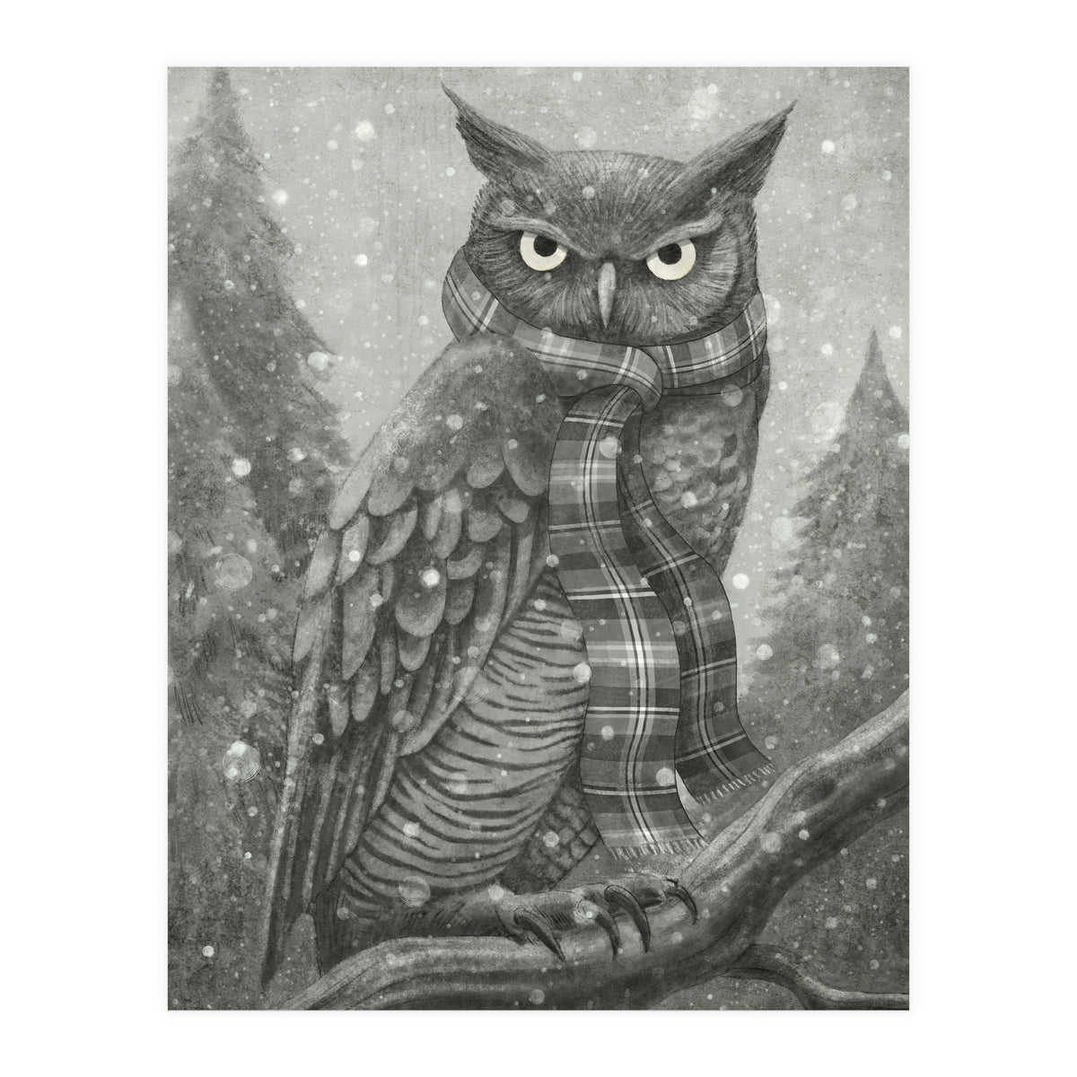 Winter Owl (Print Only)