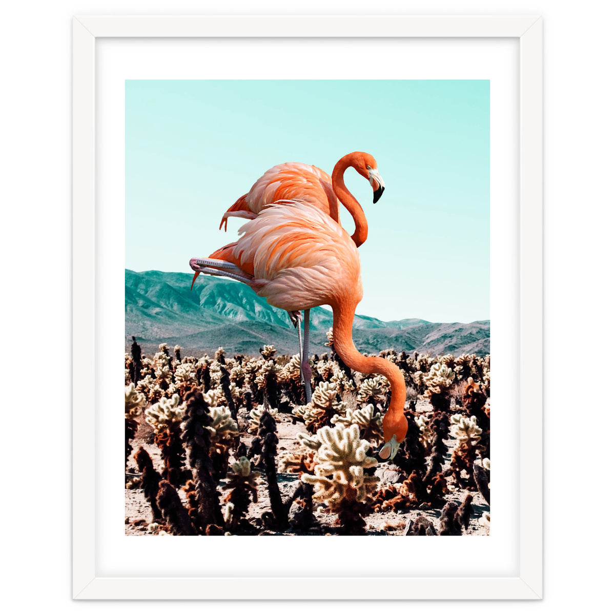 Flamingos In The Desert