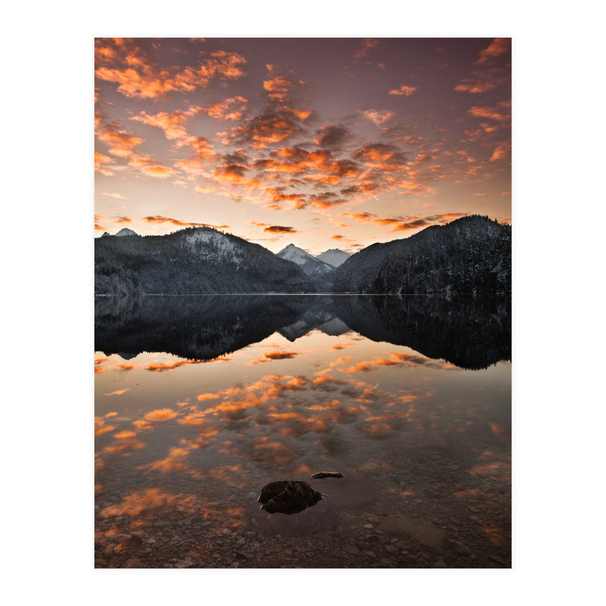 Magestic (Print Only)