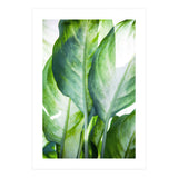 Tropic Abstract (Print Only) thumbnail