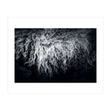 the sheep (Print Only) thumbnail