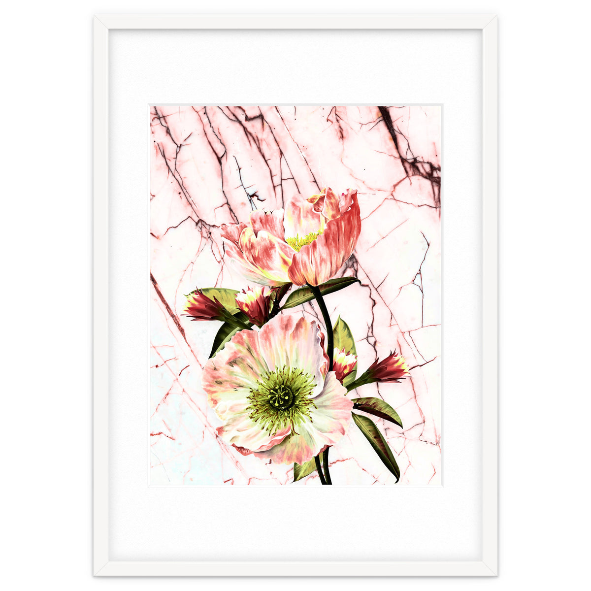 Flowering on pink marble