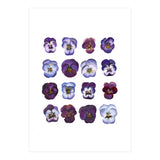 A Watercolour Study Of Violas (Print Only) thumbnail