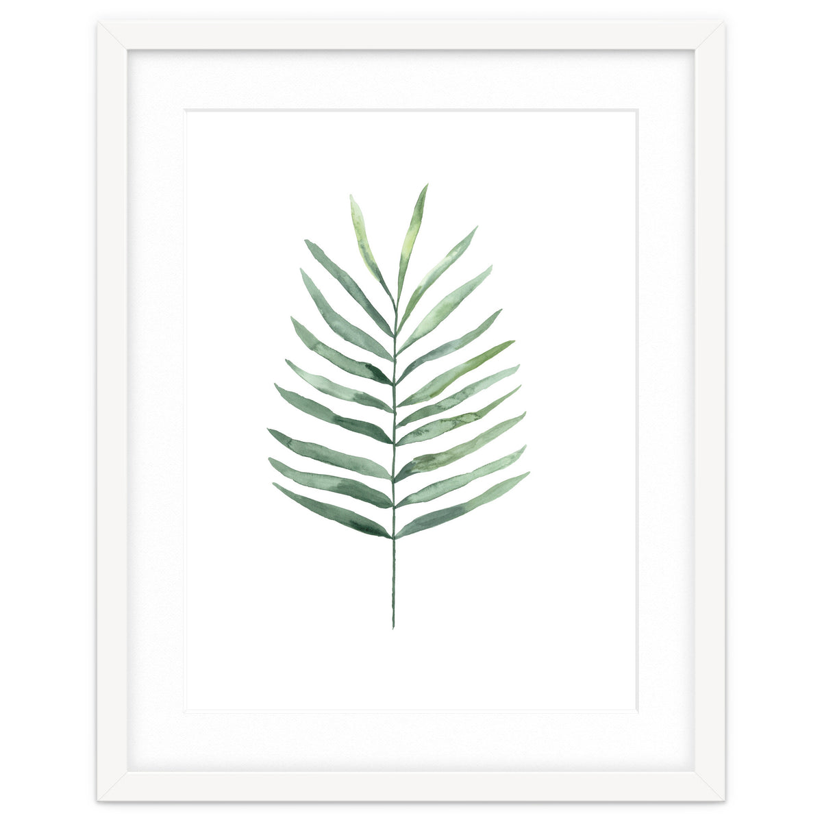 Botanical Illustration Fern