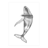 Humpacks no. 2 (Print Only) thumbnail