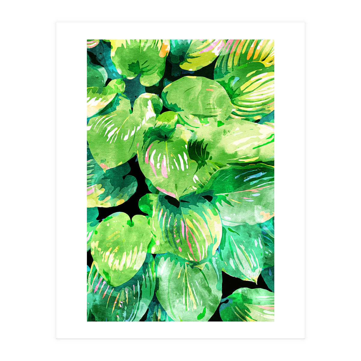 Colors Of The Jungle (Print Only)