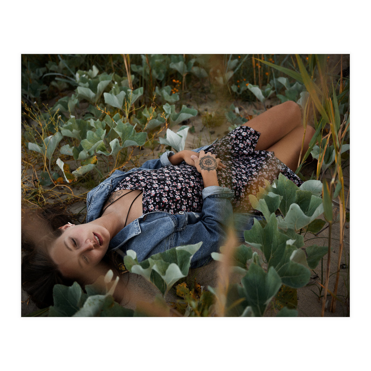 Northern Comfort (Print Only)