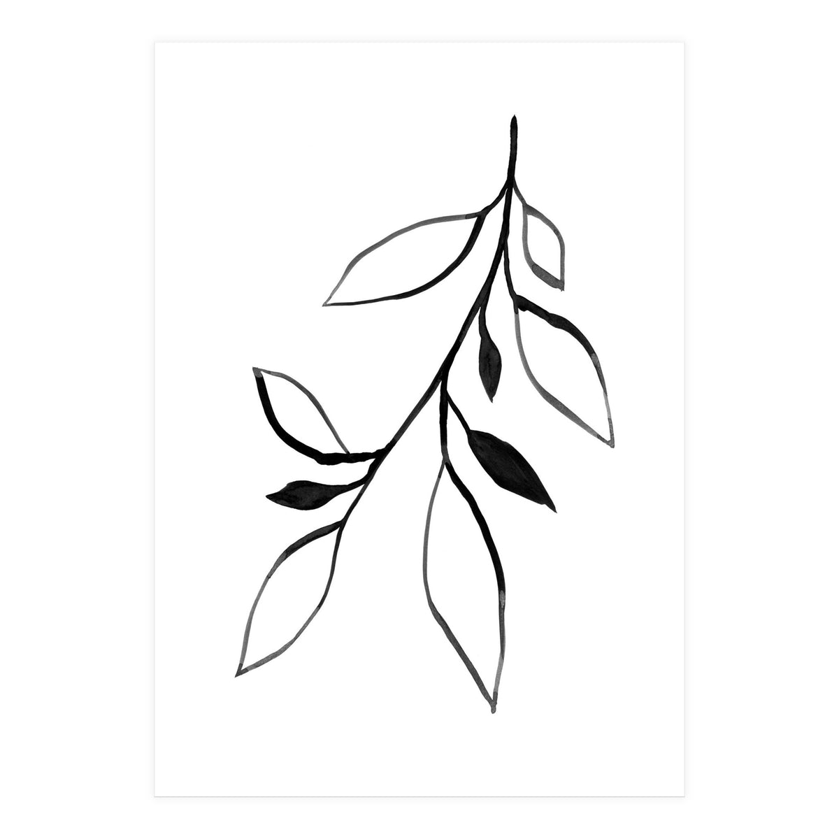 Ink Plant 2 (Print Only)