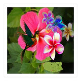 Hummingbird (Print Only) thumbnail