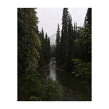 Evergreen State (Print Only) thumbnail