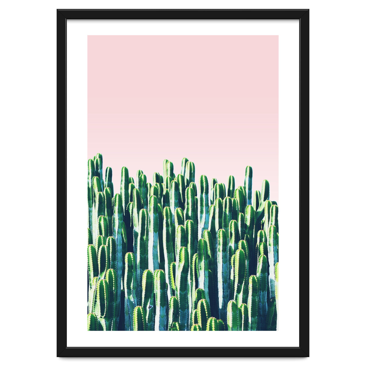 Cactus & Sunset I