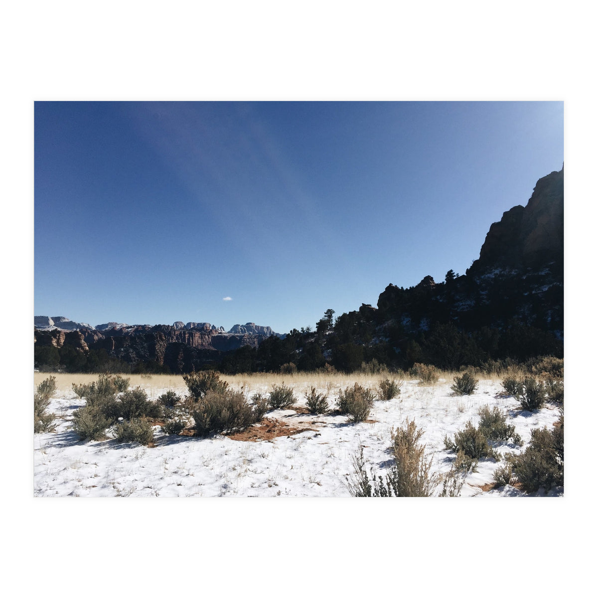 Zion National Park II (Print Only)