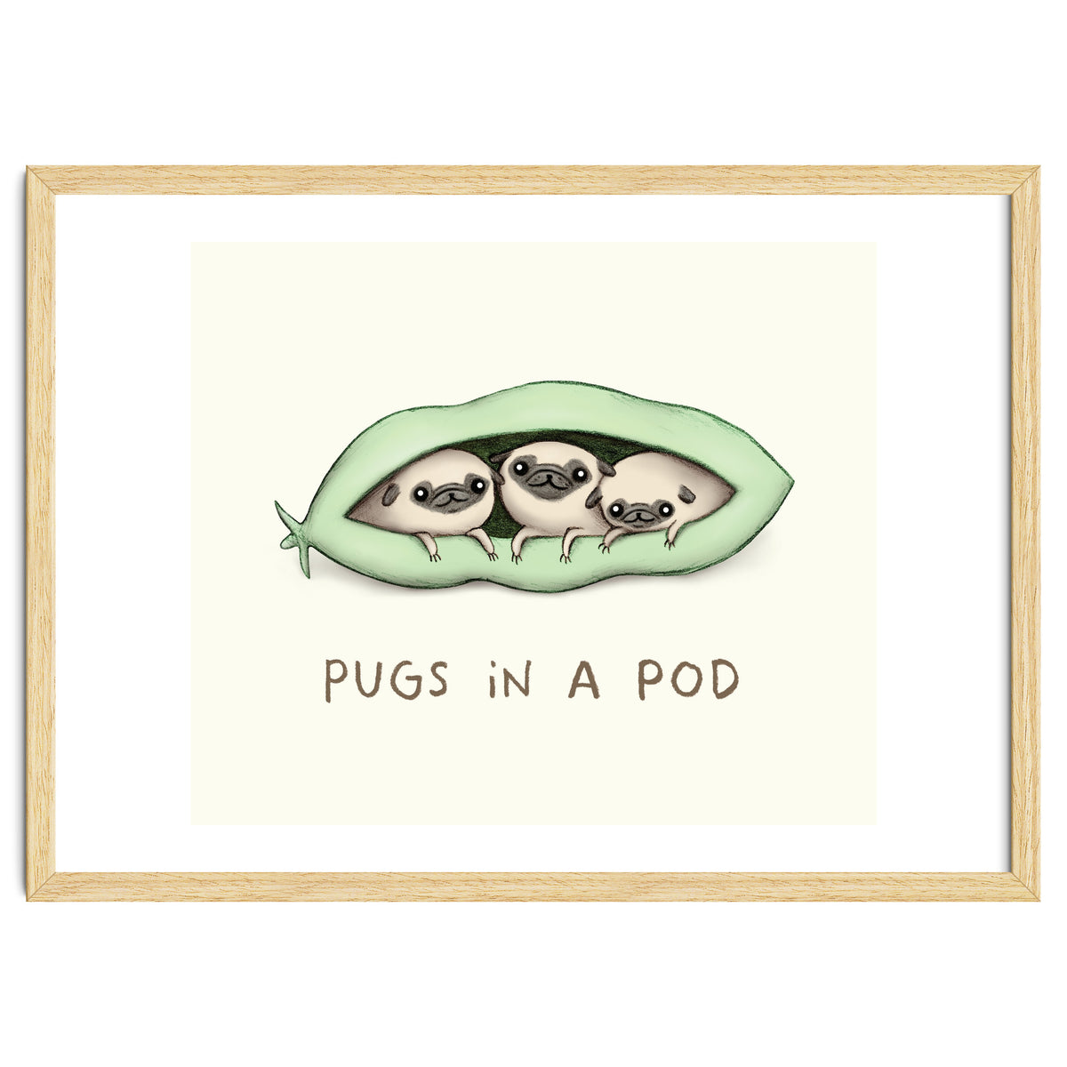 Pugs In A Pod