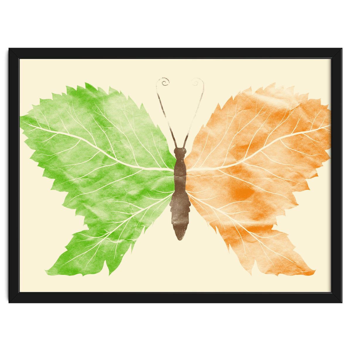 Seasons Change Time Flies