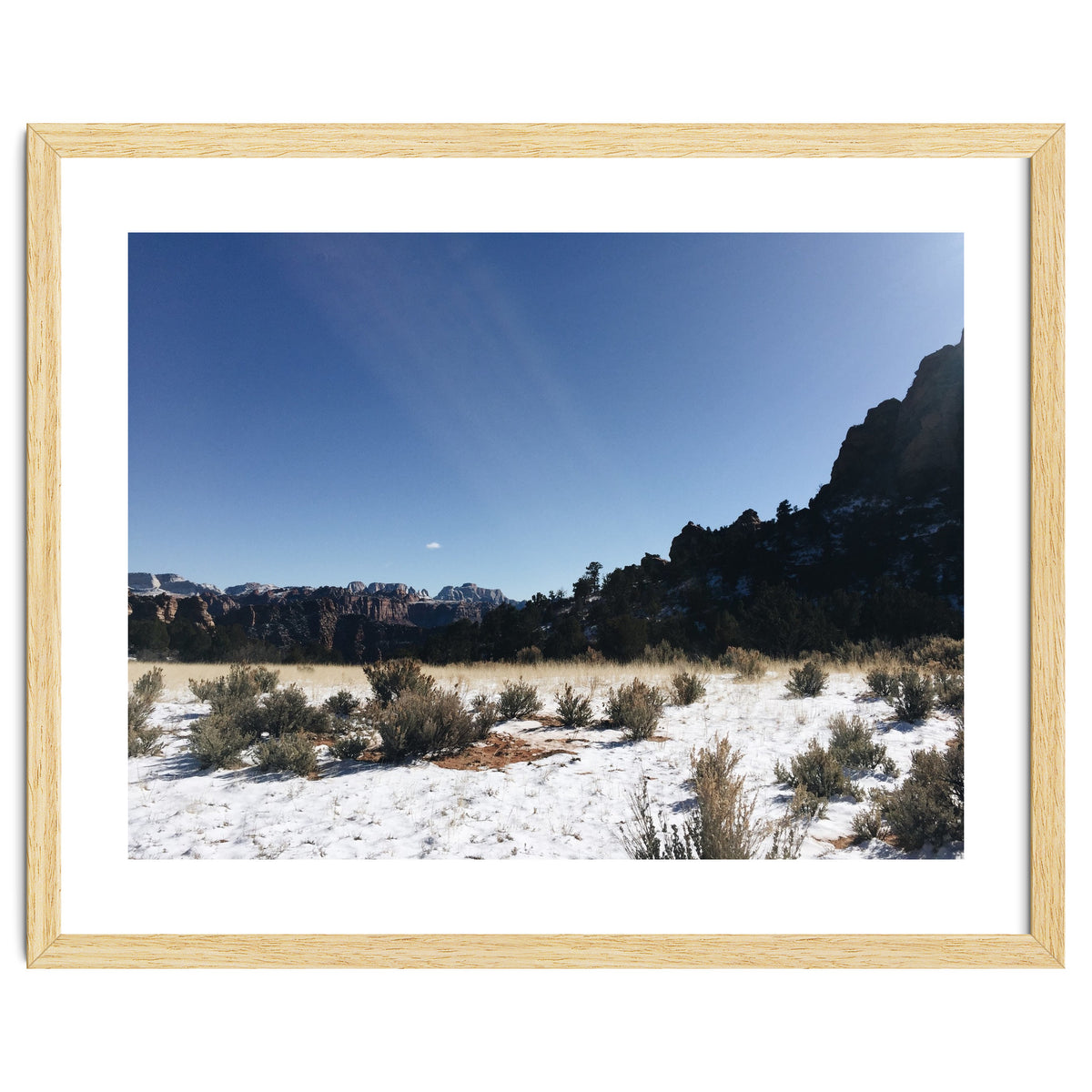 Zion National Park II