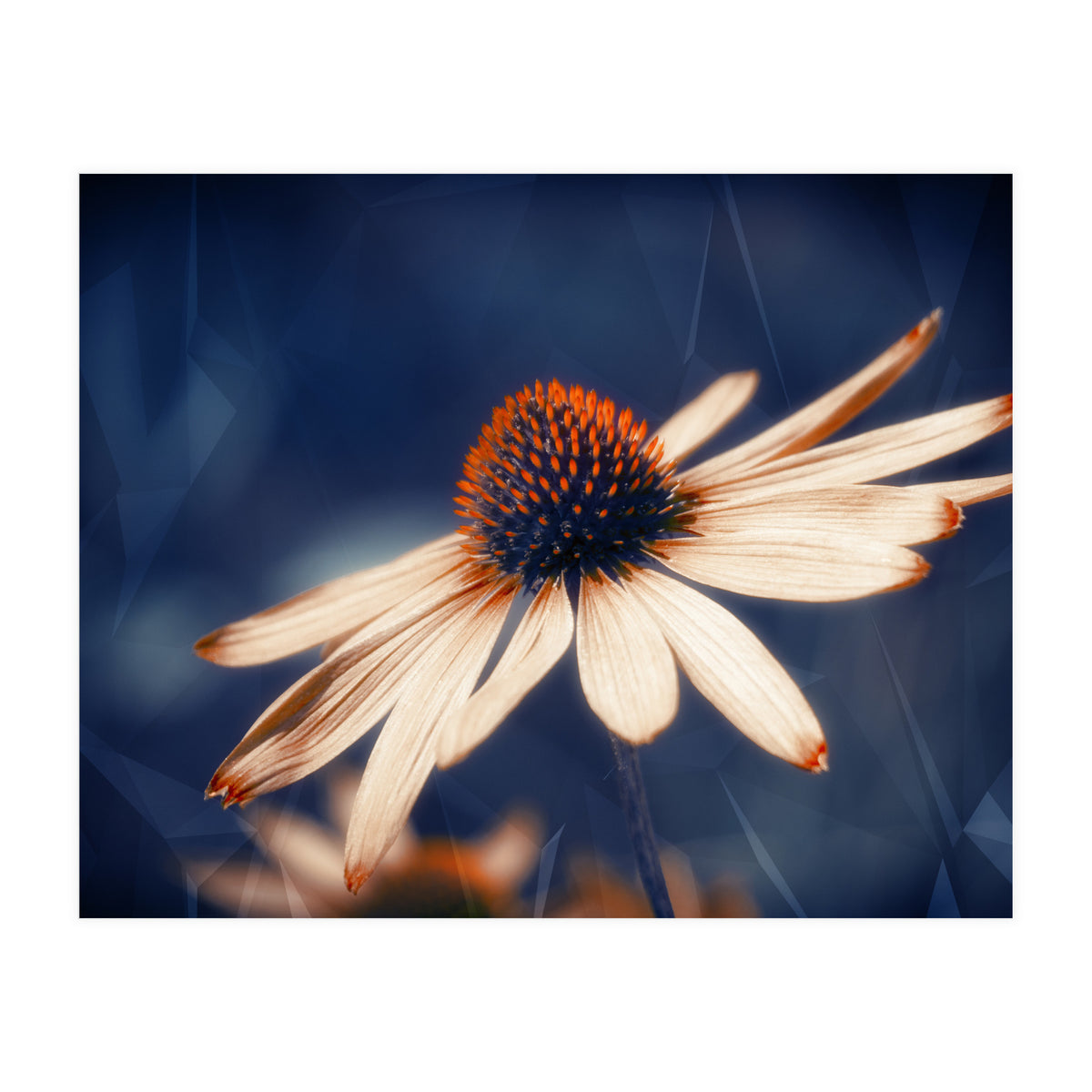 Flowers Indigo (Print Only)