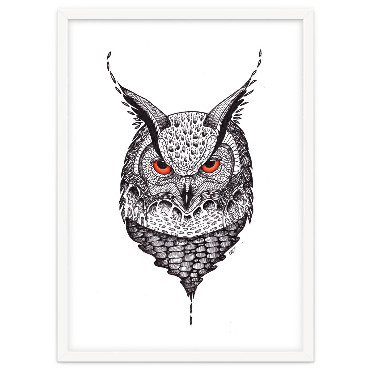 Owl