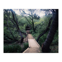 Glen Canyon Park (Print Only)