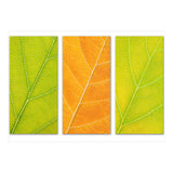 Autumn Leaves (Print Only) thumbnail