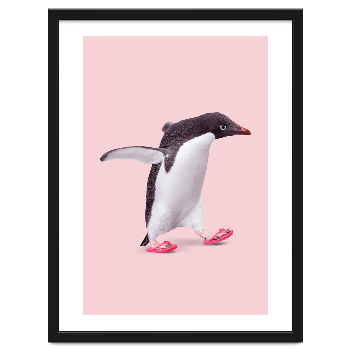 Flip Flop Penguin