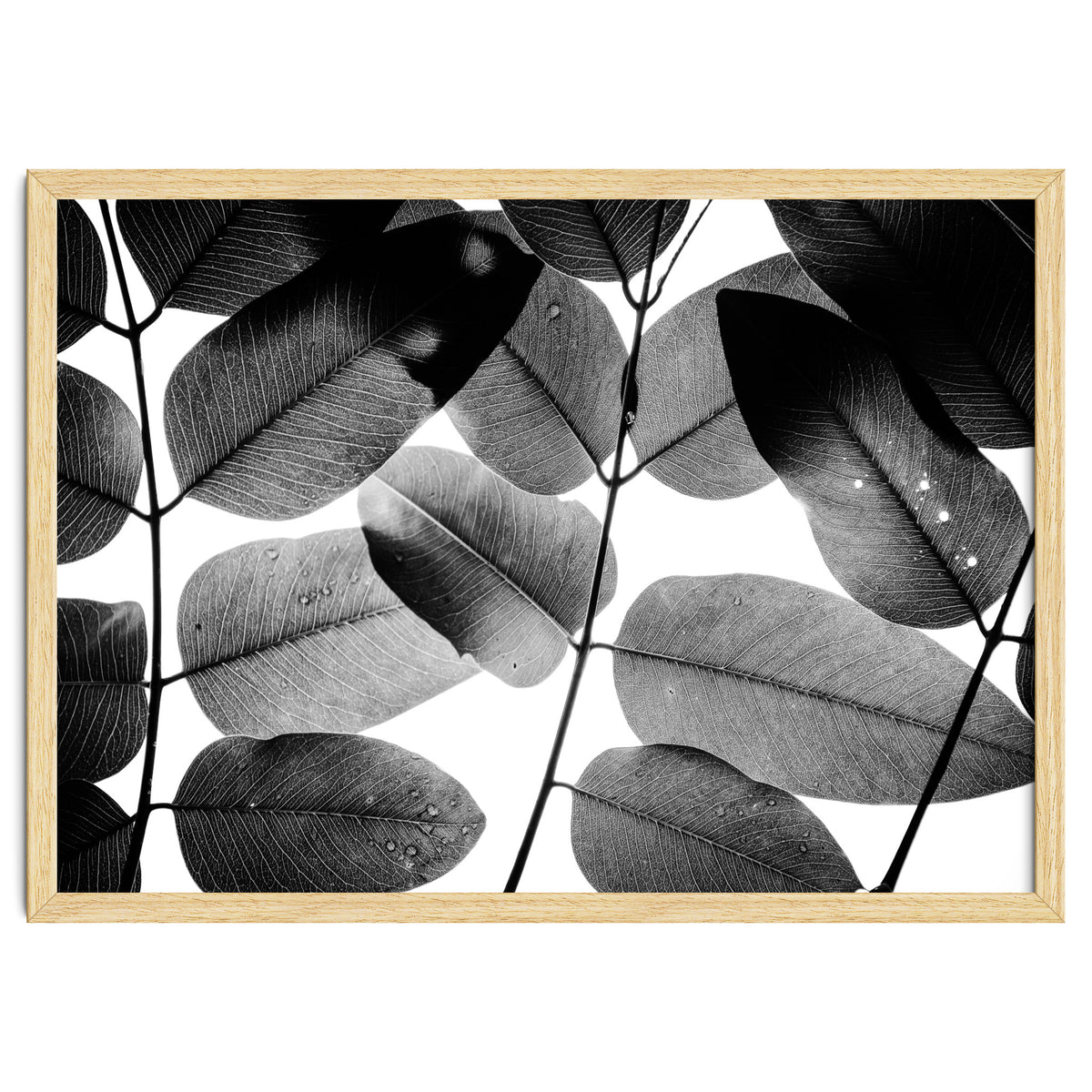 Experiments with Leaves II