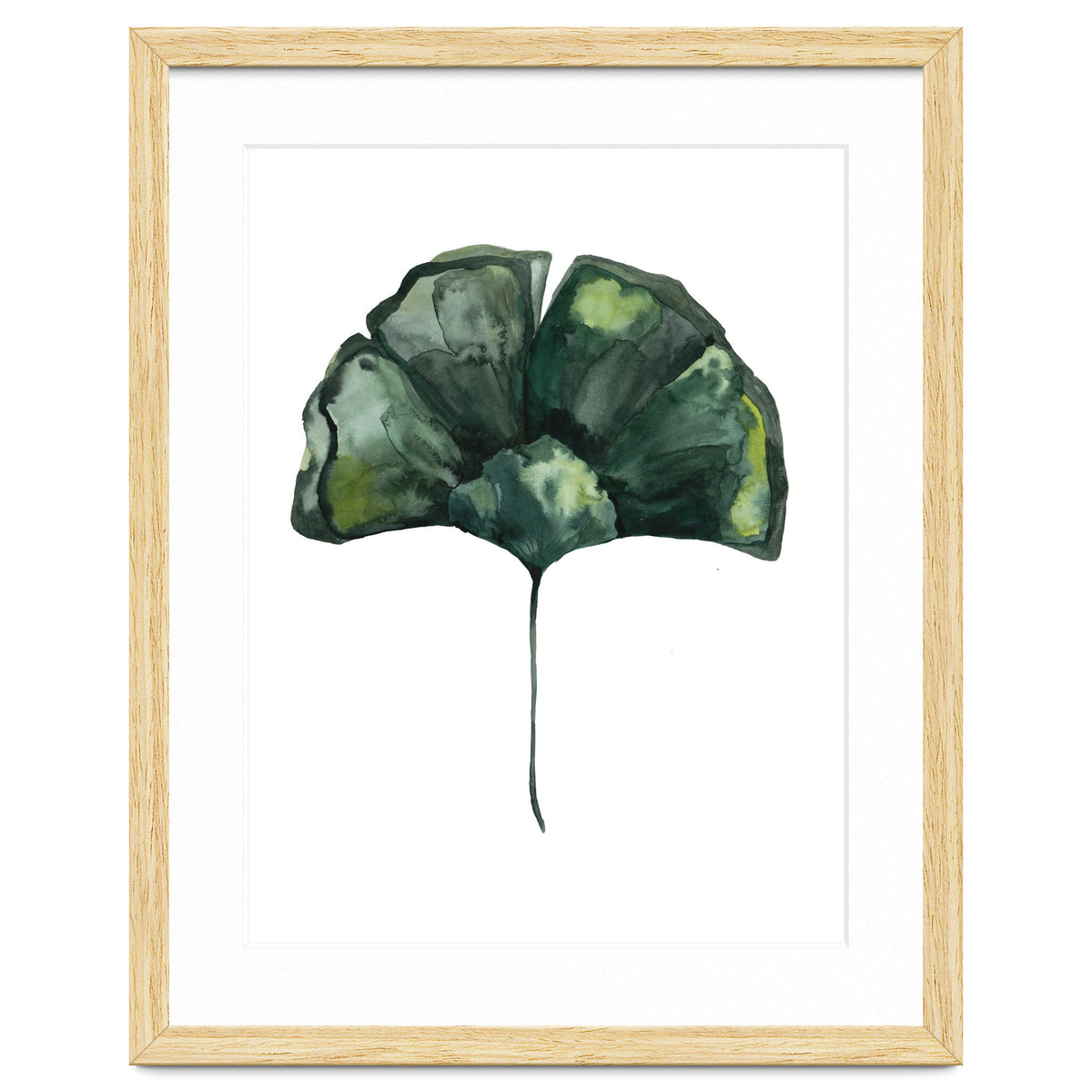 Botanical Illustration Ginko