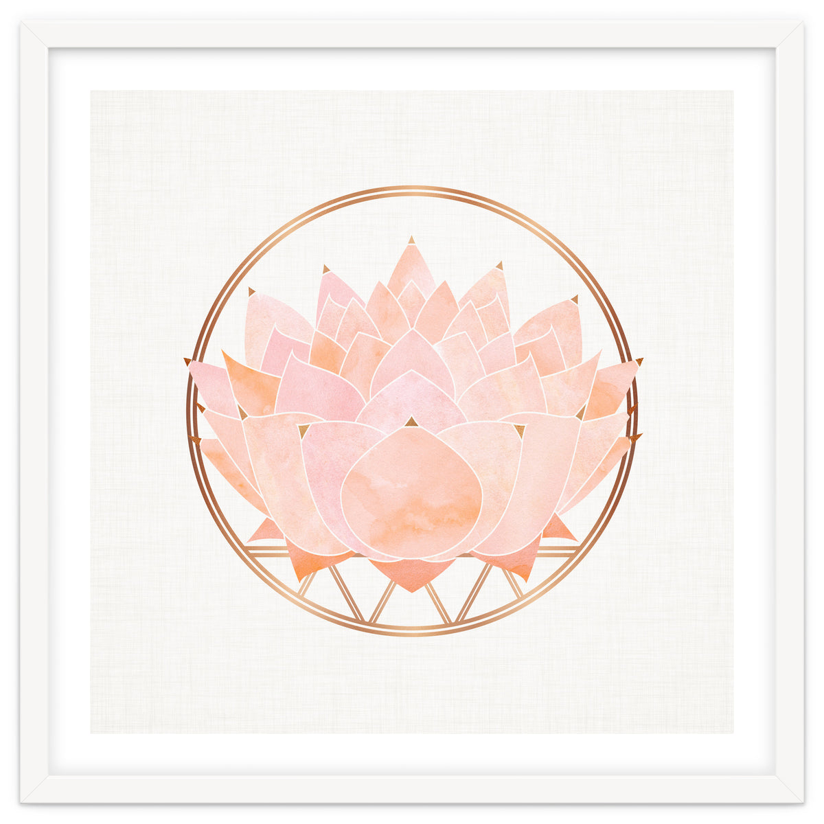 Peach Succulent  Blossom