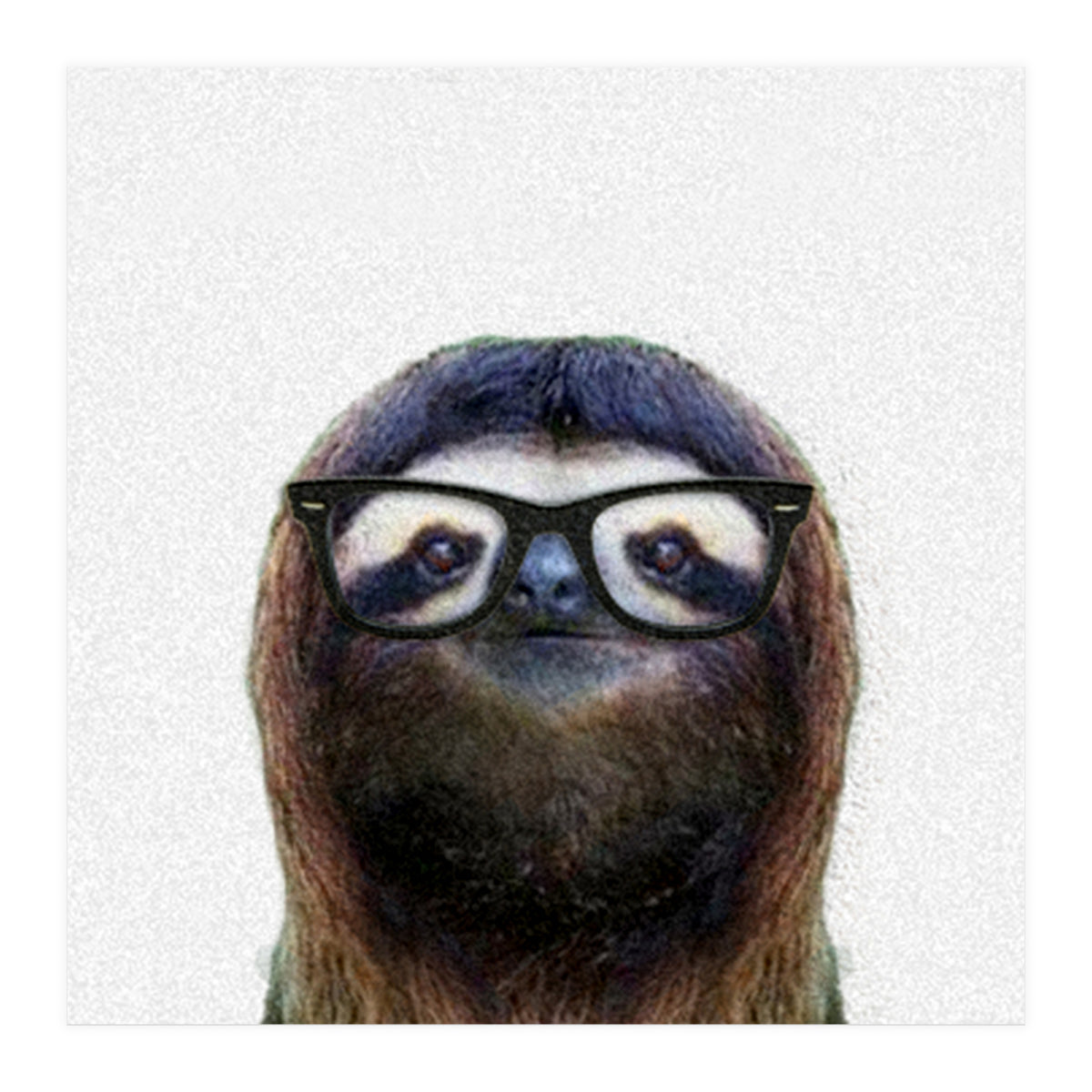 Geek Sloth (Print Only)