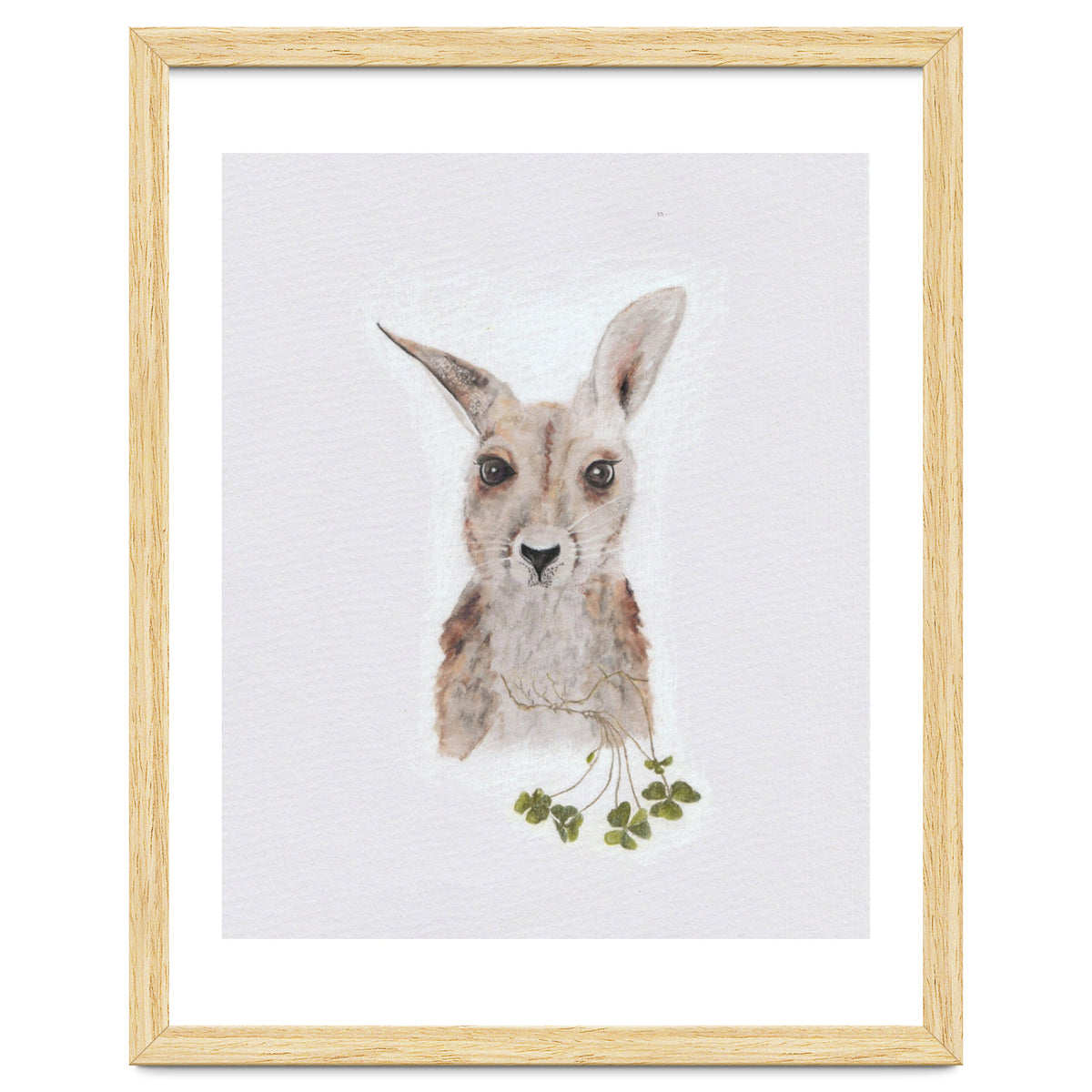 Wallaby - Australian Animal Series