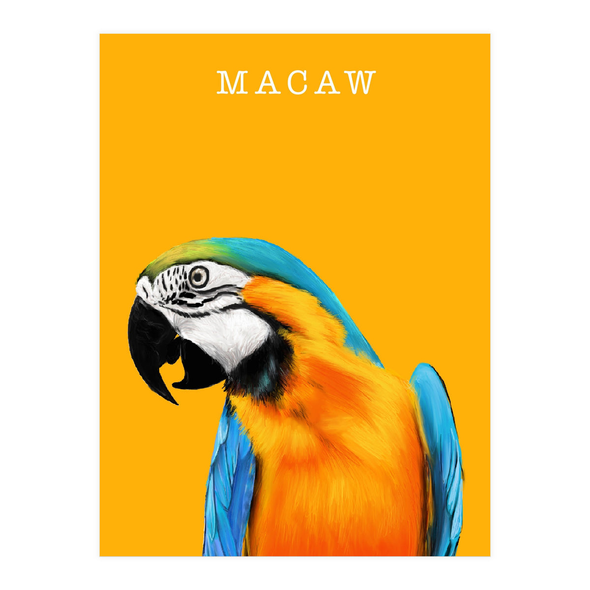 Macaw (Print Only)