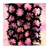 Flowers (Print Only) thumbnail