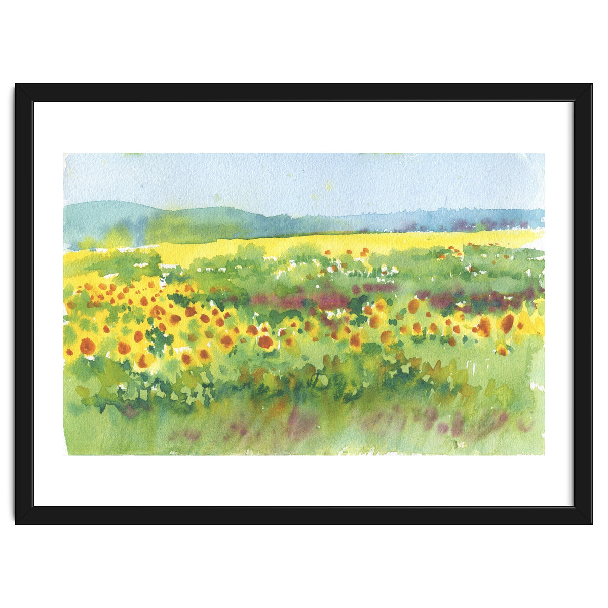 Sunflowers field