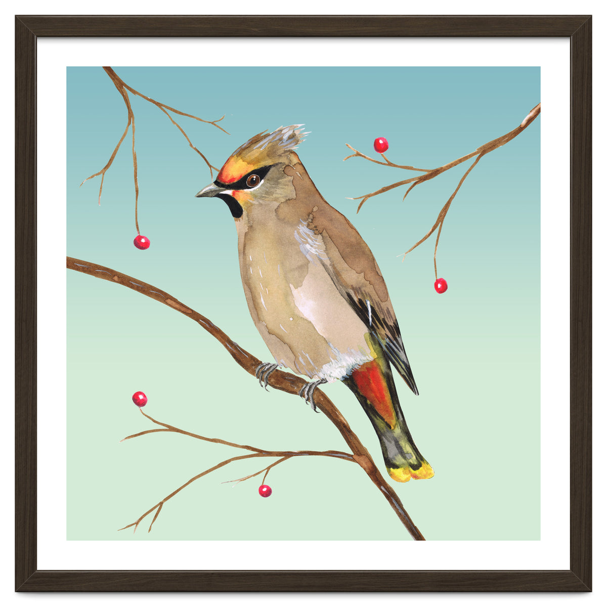 Bohemian waxwing