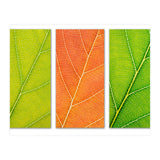 Autumn Leaves (Print Only) thumbnail