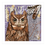 Screech Owl (Print Only) thumbnail