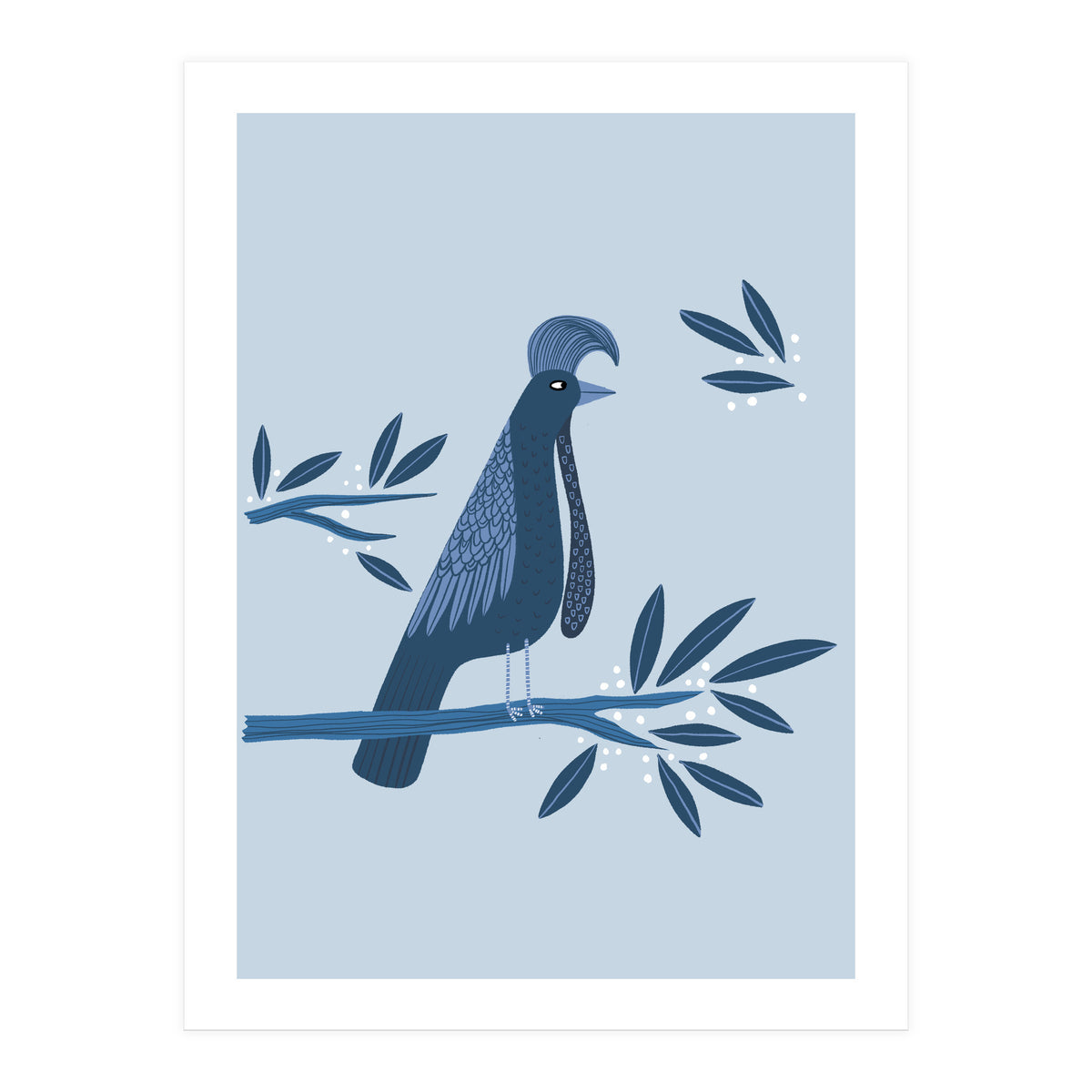 Umbrellabird (Print Only)