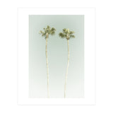 Vintage Palm Trees  (Print Only) thumbnail