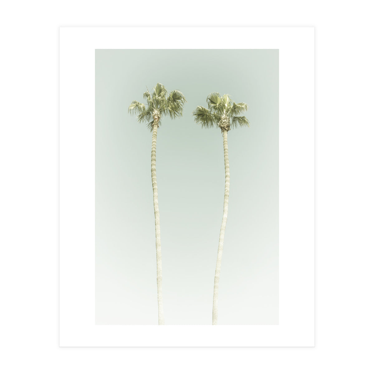 Vintage Palm Trees  (Print Only)