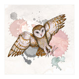 Attacking barn owl (Print Only) thumbnail