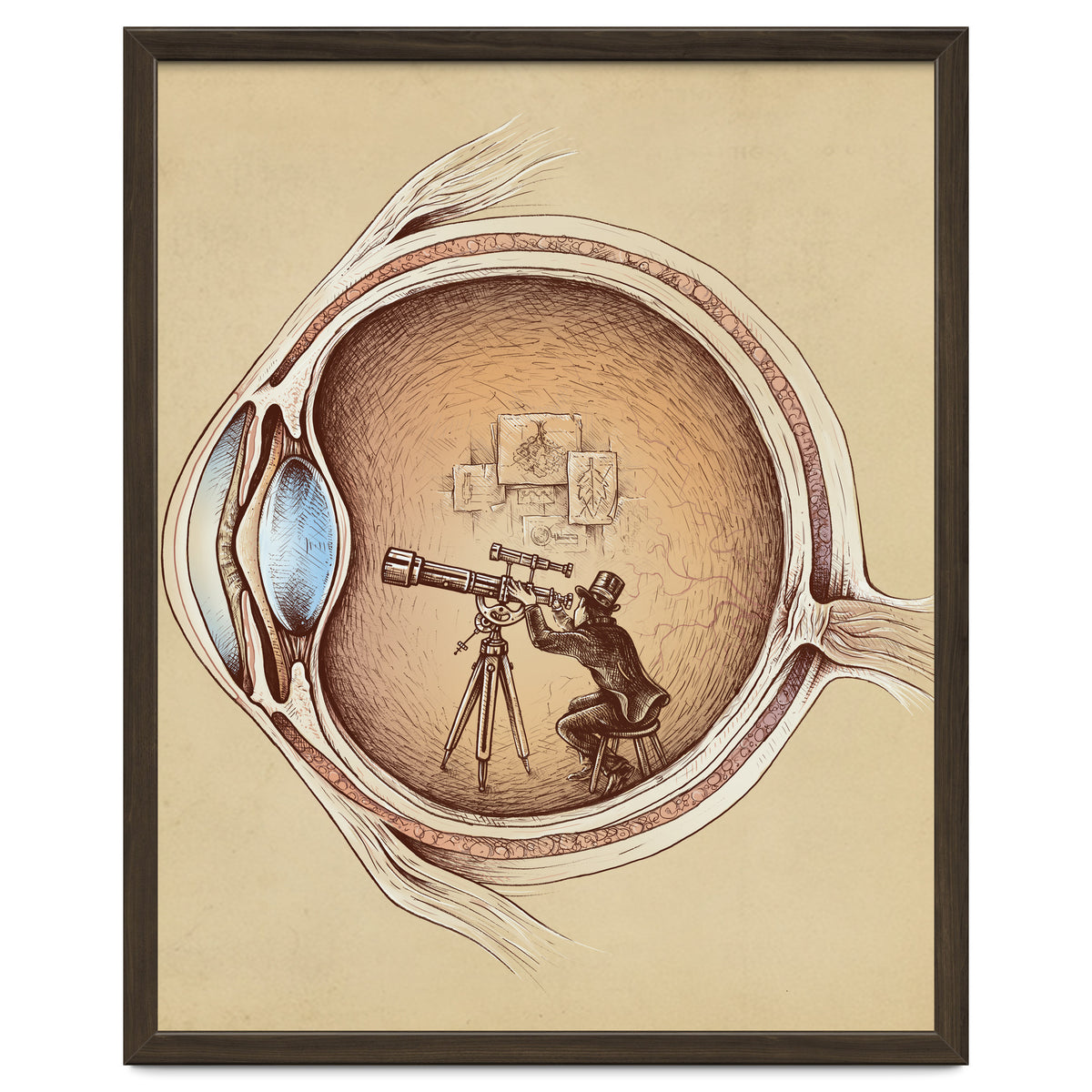 Extraordinary Observer