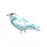Teal Raven (Print Only) thumbnail