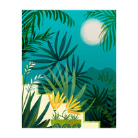 Rainforest With Moonlight (Print Only)