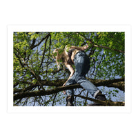 Tree Climber (Print Only)